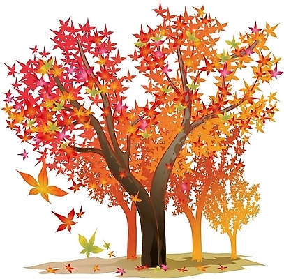 EPS 주간 클립아트 나무 식물 단풍 낙엽 일러스트 단풍나무 사람없음 야외 떨어짐 흩날리기 국내일러스트 자연요소 컨셉 잎 모션 파일형식 벡터