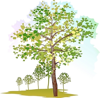EPS 주간 클립아트 나무 식물 일러스트 사람없음 야외 플라타너스 국내일러스트 자연요소 파일형식 벡터