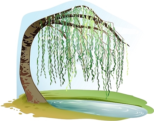 EPS 주간 클립아트 나무 식물 일러스트 한그루 사람없음 야외 버드나무 웅덩이 국내일러스트 자연요소 1 파일형식 벡터