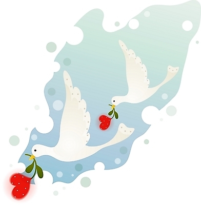 EPS 동물 아이콘 척추동물 꽃 기독교 종교 조류 사람없음 하트 비둘기 기독교아이콘 2D아이콘 모양 식물 파일형식 벡터