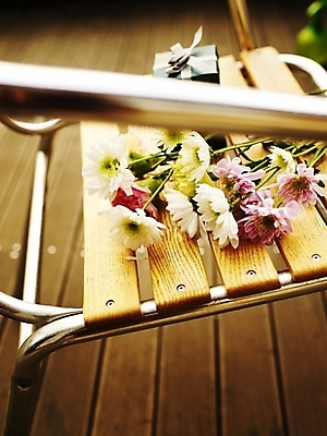 포토 JPG 식물 꽃 여러송이 의자 국화 가을꽃 선물 사람없음 야외 세로 선물상자 하이앵글 봄 카네이션 국내포토 계절 뷰포인트 가구 다수 상자 파일형식 가을_계절