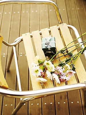 포토 JPG 식물 꽃 여러송이 의자 국화 가을꽃 선물 사람없음 야외 세로 선물상자 하이앵글 봄 국내포토 계절 뷰포인트 가구 다수 상자 파일형식 가을_계절