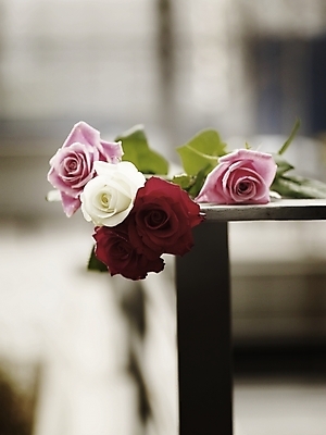 포토 JPG 식물 꽃 분홍색 여러송이 여름꽃 난간 사람없음 야외 아웃포커스 빨간색 세로 초록색 컬러풀 장미 봄 국내포토 계절 컬러 다수 촬영기법 파일형식 여름_계절