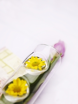 포토 JPG 스튜디오촬영 식물 접시 꽃 유리병 국화 실내 가을꽃 근접촬영 사람없음 장식 세로 노란색 꽃병 봄 튤립 국내포토 식기 계절 뷰포인트 컬러 병_용기 내부 파일형식 가을_계절