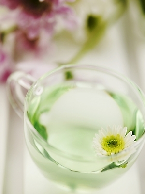 포토 JPG 스튜디오촬영 접시 음료 생활용품 한송이 잔 국화 실내 근접촬영 사람없음 세로 봄 찻잔 국화차 국내포토 1 식기 계절 꽃 뷰포인트 내부 차_음료 오브젝트 송이 파일형식