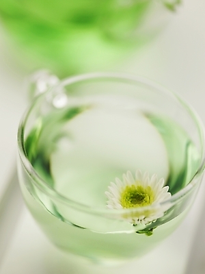 포토 JPG 스튜디오촬영 접시 음료 생활용품 한송이 잔 국화 실내 근접촬영 사람없음 세로 봄 찻잔 국화차 국내포토 1 식기 계절 꽃 뷰포인트 내부 차_음료 오브젝트 송이 파일형식