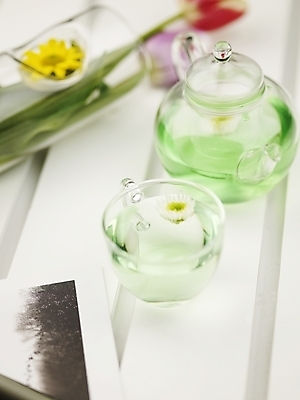 포토 JPG 스튜디오촬영 식물 꽃 음료 생활용품 한송이 주전자 유리병 잔 국화 실내 근접촬영 사람없음 세로 꽃병 찻잔 유리주전자 기념사진 국내포토 1 식기 뷰포인트 유리 주방용품 병_용기 내부 오브젝트 송이 파일형식