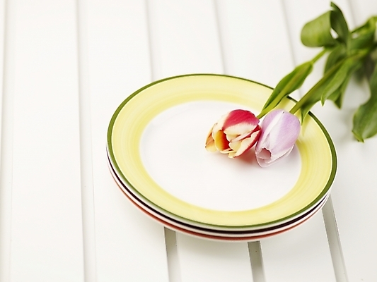 포토 JPG 스튜디오촬영 식물 접시 꽃 분홍색 봄꽃 실내 근접촬영 사람없음 가로 빨간색 초록색 봄 튤립 두송이 국내포토 식기 계절 뷰포인트 컬러 2 내부 파일형식