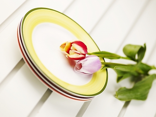 포토 JPG 스튜디오촬영 식물 접시 꽃 분홍색 봄꽃 실내 근접촬영 사람없음 가로 빨간색 초록색 봄 튤립 두송이 국내포토 식기 계절 뷰포인트 컬러 2 내부 파일형식