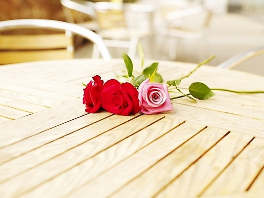 포토 JPG 스튜디오촬영 식물 꽃 분홍색 여름꽃 탁자 실내 사람없음 가로 빨간색 초록색 장미 봄 세송이 국내포토 계절 컬러 가구 3 내부 파일형식 여름_계절