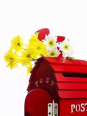 포토 JPG 스튜디오촬영 식물 꽃 국화 실내 사람없음 빨간색 세로 노란색 봄 우체통 오브젝트 국내포토 계절 컬러 내부 파일형식