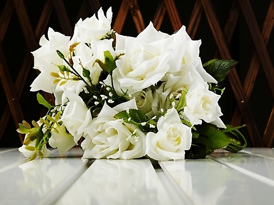 포토 JPG 스튜디오촬영 식물 꽃 여러송이 여름꽃 실내 사람없음 가로 장미 봄 국내포토 계절 다수 내부 파일형식 여름_계절