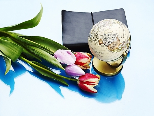 포토 JPG 스튜디오촬영 식물 꽃 실내 그림자 사람없음 가로 빨간색 초록색 하이앵글 반사 지구본 튤립 국내포토 뷰포인트 컬러 내부 파일형식