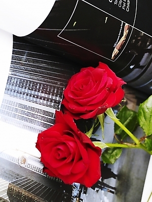 포토 JPG 스튜디오촬영 식물 꽃 여름꽃 실내 근접촬영 사람없음 책 세로 장미 잡지 두송이 기념사진 국내포토 뷰포인트 2 내부 간행물 파일형식 여름_계절