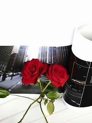 포토 JPG 스튜디오촬영 식물 꽃 여름꽃 실내 근접촬영 사람없음 책 빨간색 세로 초록색 장미 잡지 두송이 기념사진 국내포토 뷰포인트 컬러 2 내부 간행물 파일형식 여름_계절