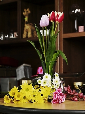 포토 JPG 스튜디오촬영 식물 꽃 분홍색 여러송이 봄꽃 탁자 유리병 선반 국화 실내 사람없음 세로 초록색 컬러풀 장미 노란색 꽃병 튤립 국내포토 컬러 가구 다수 병_용기 내부 봄 파일형식