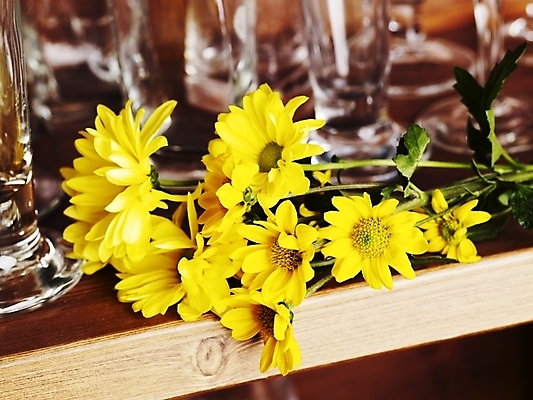 포토 JPG 스튜디오촬영 식물 꽃 여러송이 잔 선반 국화 실내 가을꽃 근접촬영 사람없음 가로 노란색 봄 국내포토 식기 계절 뷰포인트 컬러 가구 다수 내부 파일형식 가을_계절