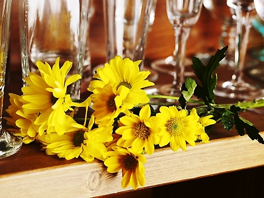 포토 JPG 스튜디오촬영 식물 꽃 여러송이 잔 선반 국화 실내 가을꽃 사람없음 가로 봄 국내포토 식기 계절 가구 다수 내부 파일형식 가을_계절