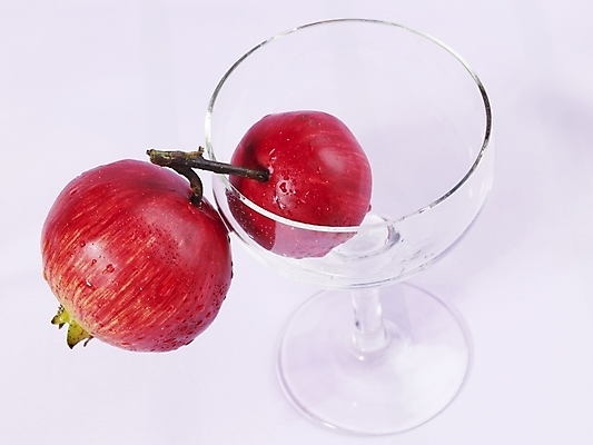 포토 JPG 스튜디오촬영 식물 와인잔 과일 잔 실내 누끼 근접촬영 사람없음 가로 빨간색 하이앵글 물방울 석류 국내포토 식기 뷰포인트 컬러 술잔 내부 파일형식