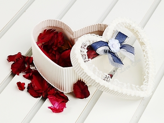 포토 JPG 스튜디오촬영 꽃잎 잎 실내 선물 근접촬영 사람없음 가로 빨간색 선물상자 상자 오브젝트 국내포토 식물 꽃 뷰포인트 컬러 내부 파일형식