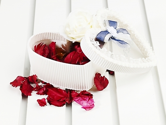 포토 JPG 스튜디오촬영 꽃잎 잎 실내 선물 근접촬영 사람없음 가로 빨간색 선물상자 상자 오브젝트 국내포토 식물 꽃 뷰포인트 컬러 내부 파일형식