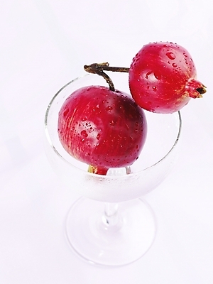 포토 JPG 스튜디오촬영 식물 와인잔 과일 잔 실내 누끼 근접촬영 사람없음 빨간색 세로 물방울 석류 국내포토 식기 뷰포인트 컬러 술잔 내부 파일형식