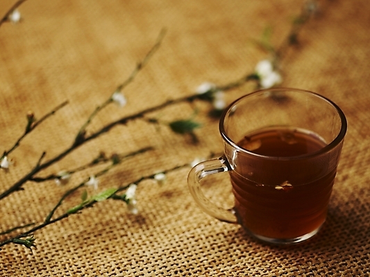 포토 JPG 스튜디오촬영 꽃 음료 음식 잔 실내 근접촬영 사람없음 장식 컵 가로 나뭇가지 차 찻잔 국내포토 나무 식물 식기 뷰포인트 내부 파일형식