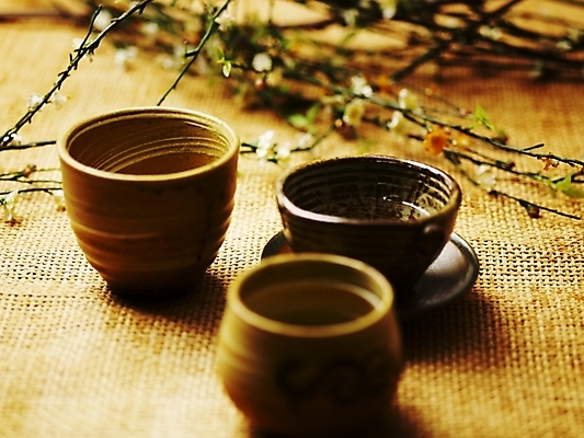 포토 JPG 스튜디오촬영 꽃 음료 음식 잔 실내 근접촬영 사람없음 장식 컵 가로 나뭇가지 도자기 차 전통차 찻잔 다기 국내포토 나무 식물 식기 뷰포인트 내부 차_음료 다도 파일형식