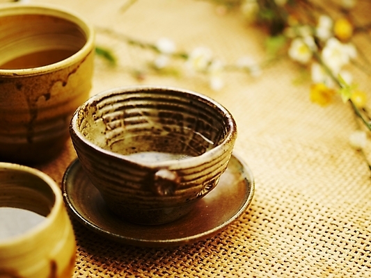 포토 JPG 스튜디오촬영 꽃 음료 음식 잔 실내 근접촬영 사람없음 아웃포커스 장식 컵 가로 나뭇가지 도자기 차 전통차 찻잔 다기 국내포토 나무 식물 식기 뷰포인트 촬영기법 내부 차_음료 다도 파일형식