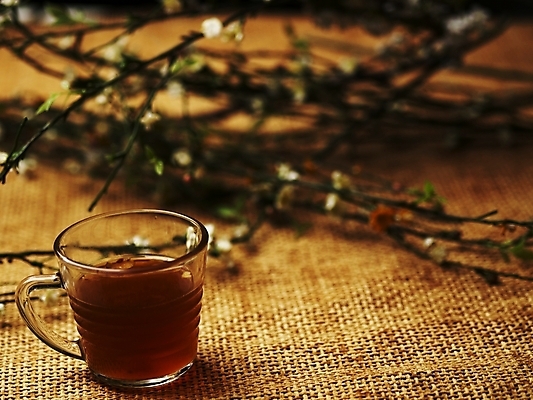 포토 JPG 스튜디오촬영 꽃 음료 음식 잔 실내 근접촬영 사람없음 장식 컵 가로 나뭇가지 차 전통차 찻잔 국내포토 나무 식물 식기 뷰포인트 내부 차_음료 파일형식