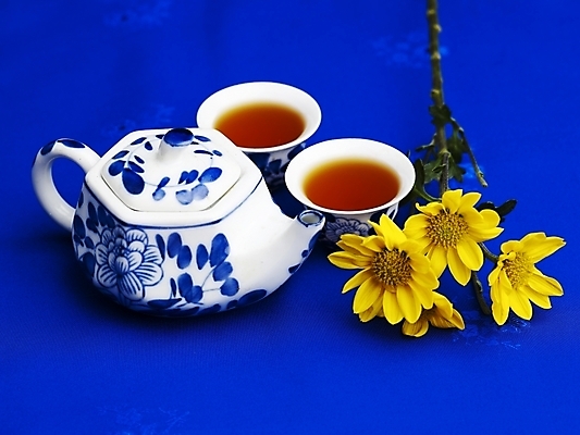 포토 JPG 스튜디오촬영 식물 꽃 음료 음식 주전자 잔 실내 근접촬영 사람없음 컵 가로 초록색 노란색 도자기 차 전통차 찻잔 국내포토 식기 뷰포인트 컬러 주방용품 내부 차_음료 파일형식