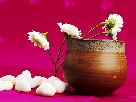 포토 JPG 스튜디오촬영 꽃 음료 음식 잔 실내 근접촬영 사람없음 장식 컵 가로 보라색 돌_바위 조약돌 흰색 도자기 차 전통차 찻잔 다기 소국 국내포토 식물 식기 뷰포인트 컬러 내부 차_음료 다도 파일형식