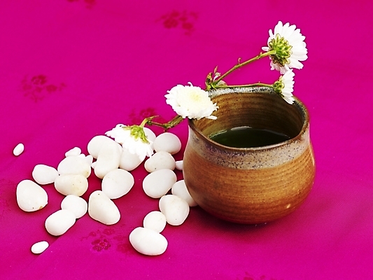 포토 JPG 스튜디오촬영 꽃 음료 음식 잔 실내 근접촬영 사람없음 장식 컵 가로 보라색 돌_바위 조약돌 흰색 도자기 차 전통차 찻잔 다기 소국 국내포토 식물 식기 뷰포인트 컬러 내부 차_음료 다도 파일형식