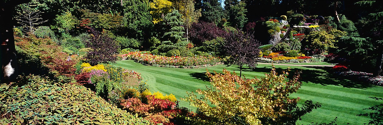 포토 JPG 주간 나무 식물 사계절 계절 공원 꽃 꽃밭 자연 파노라마 여러그루 풍경 잔디 사람없음 야외 봄풍경 봄 꽃집 국내포토 자연요소 공공시설 다수 촬영기법 상점 생태계 파일형식