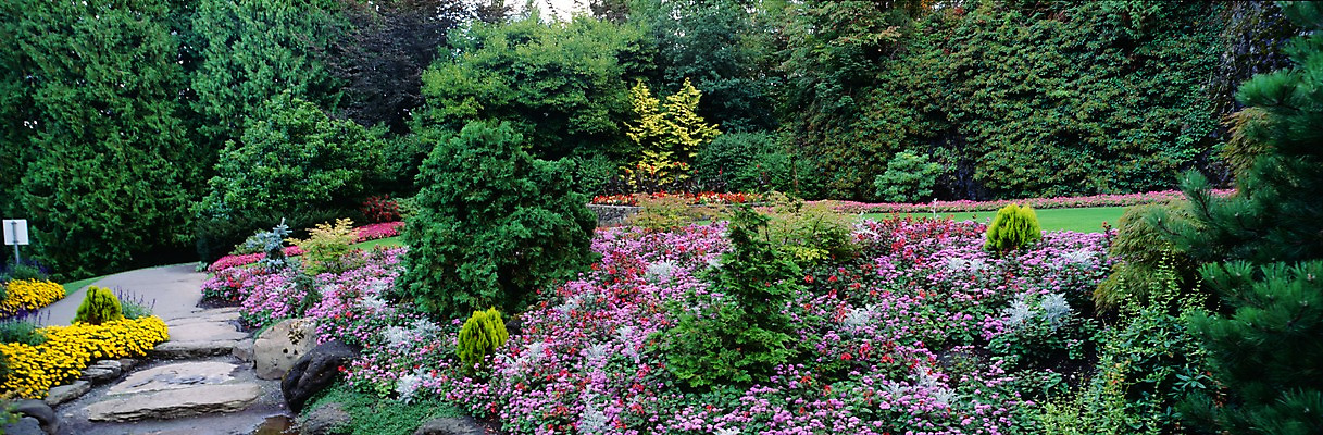 포토 JPG 주간 나무 식물 사계절 계절 공원 꽃 꽃밭 자연 파노라마 여러그루 풍경 사람없음 야외 봄풍경 봄 꽃집 국내포토 자연요소 공공시설 다수 촬영기법 상점 생태계 파일형식