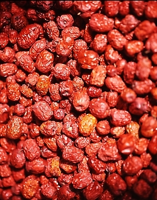 포토 JPG 식물 열매 음식 사람없음 농작물 대추 국내포토 농업 파일형식