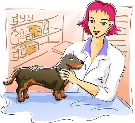 EPS 동물 직업 여자 일러스트 실내 한명 사람 20대 성인 반려동물 의사 개 강아지 서비스업 동물병원 수의사 보살핌 여자만 여자한명만 성인여자만 청년만 청년여자만 성인한명만 청년여자한명만 성인여자한명만 성인만 국내일러스트 1 산업 포유류 병원 청년 내부 의료진 파일형식 벡터