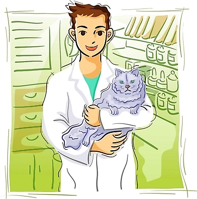 EPS 동물 직업 남자 일러스트 실내 한명 사람 20대 성인 반려동물 고양이 의사 서비스업 동물병원 수의사 남자만 남자한명만 성인남자만 청년만 청년남자만 청년남자한명만 성인한명만 성인남자한명만 성인만 국내일러스트 1 산업 포유류 병원 청년 내부 의료진 파일형식 벡터