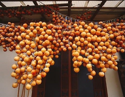 포토 JPG 식물 한국전통 전통 건축물 건축 음식 고건축 과일 한옥 건조 감 사람없음 건물 문 농촌 시골 실 천장 곶감 건과일 국내포토 한국 파일형식