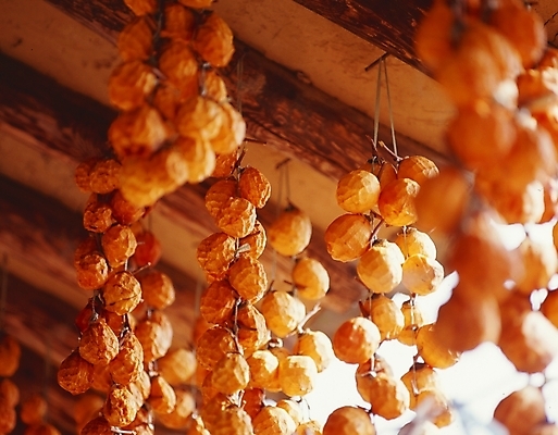 포토 JPG 식물 한국전통 전통 열매 과일 한옥 건조 감 사람없음 농촌 시골 실 곶감 건과일 서까래 국내포토 고건축 한국 파일형식