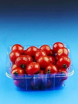 포토 JPG 스튜디오촬영 식물 그릇 음식 토마토 방울토마토 실내 누끼 근접촬영 사람없음 빨간색 농작물 여러개 신선 플라스틱 포장용기 국내포토 식기 뷰포인트 컬러 다수 농업 채소 재질 포장재료 파일형식