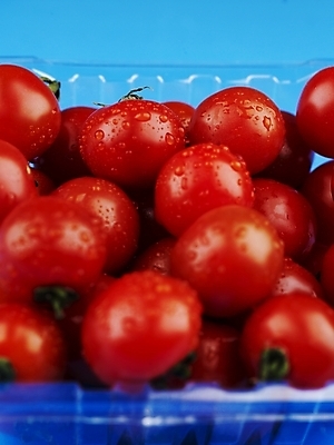 포토 JPG 스튜디오촬영 식물 그릇 음식 토마토 방울토마토 실내 근접촬영 사람없음 빨간색 농작물 여러개 신선 플라스틱 포장용기 국내포토 식기 뷰포인트 컬러 다수 농업 채소 재질 포장재료 파일형식