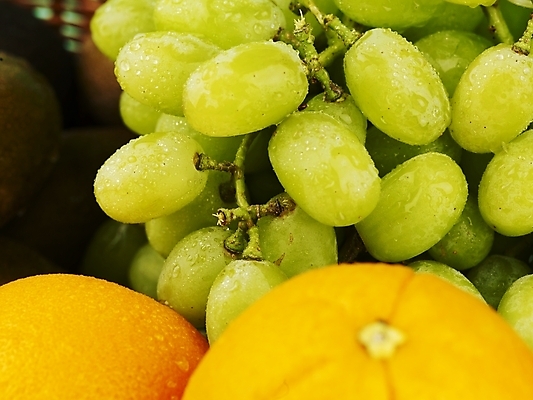 포토 JPG 스튜디오촬영 식물 음식 오렌지 과일 포도 실내 키위 근접촬영 사람없음 가로 농작물 바구니 여러개 신선 청포도 아보카도 국내포토 뷰포인트 다수 농업 파일형식