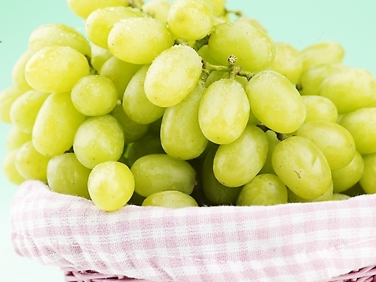 포토 JPG 스튜디오촬영 식물 음식 과일 포도 실내 근접촬영 사람없음 가로 농작물 바구니 소쿠리 신선 청포도 국내포토 뷰포인트 농업 파일형식