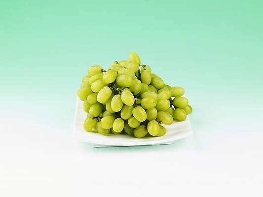 포토 JPG 스튜디오촬영 식물 그릇 접시 음식 과일 포도 실내 누끼 사람없음 가로 농작물 바구니 신선 청포도 국내포토 식기 농업 파일형식