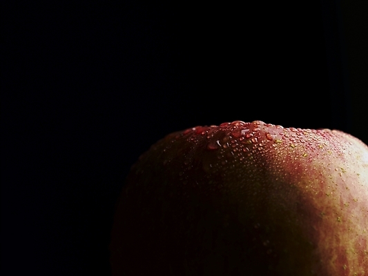 포토 JPG 스튜디오촬영 식물 음식 과일 실내 근접촬영 사람없음 농작물 물방울 신선 사과 국내포토 뷰포인트 농업 내부 파일형식