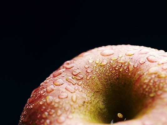 포토 뷰포인트 농업 과일 실내 파일형식 음식 신선 근접촬영 식물 농작물 사람없음 스튜디오촬영 JPG 물방울 국내포토 사과