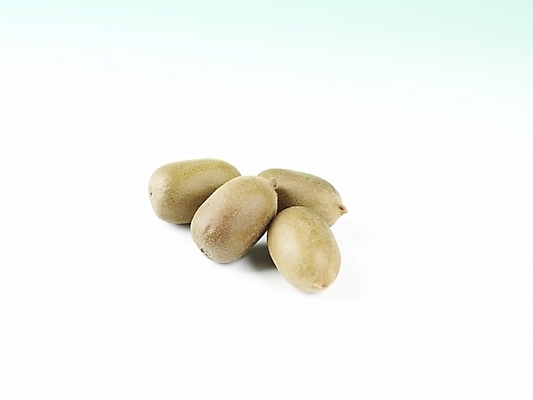 포토 JPG 스튜디오촬영 식물 음식 과일 실내 키위 누끼 사람없음 농작물 여러개 신선 국내포토 다수 농업 내부 파일형식