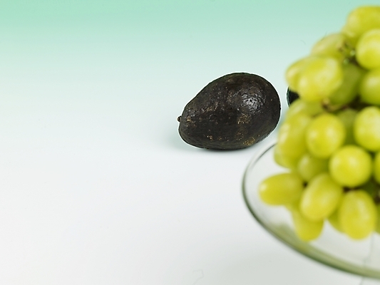 포토 JPG 스튜디오촬영 식물 그릇 음식 과일 포도 실내 근접촬영 사람없음 농작물 신선 청포도 유리그릇 아보카도 국내포토 식기 뷰포인트 농업 유리 내부 파일형식