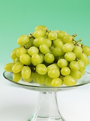 포토 JPG 스튜디오촬영 식물 그릇 접시 음식 과일 포도 실내 근접촬영 사람없음 농작물 신선 청포도 유리그릇 국내포토 식기 뷰포인트 농업 유리 내부 파일형식